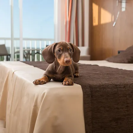 Torre Azul & - Adults Only Hotel